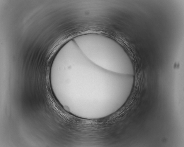 X0000115540098200911061159