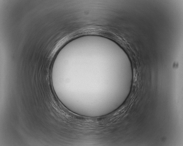 X0000115540099200911061159