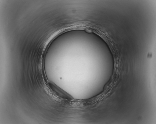 X0000115540100200911061159