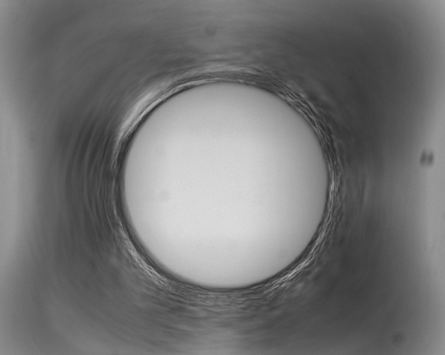 X0000115540101200911061159