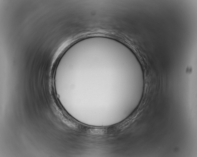 X0000115540102200911061159