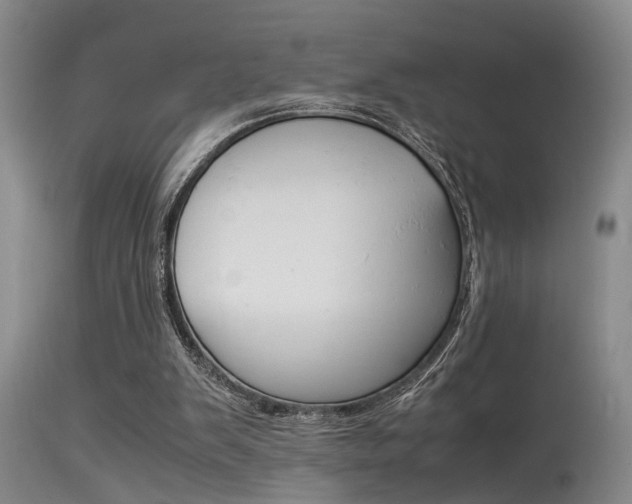 X0000115540103200911061159