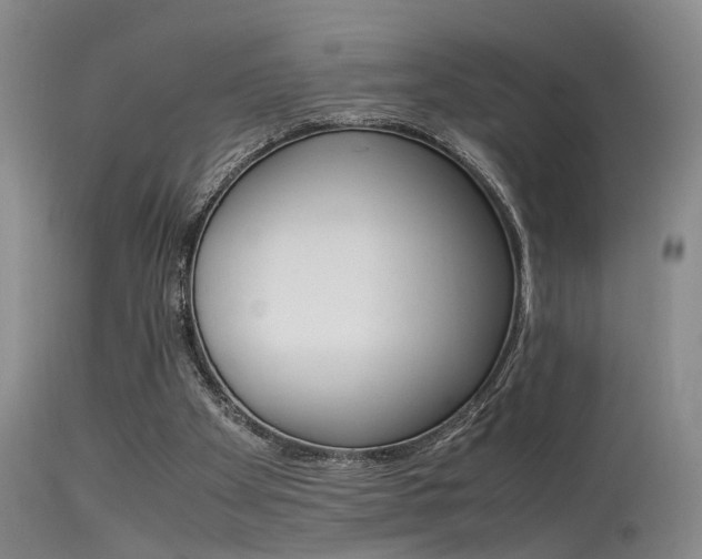 X0000115540105200911061159