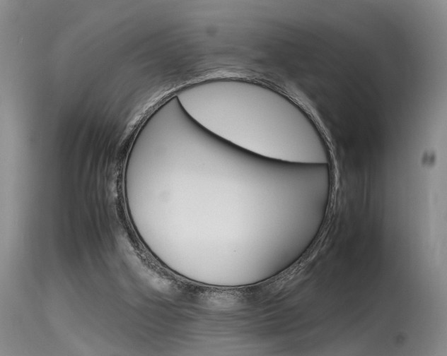 X0000115540106200911061159