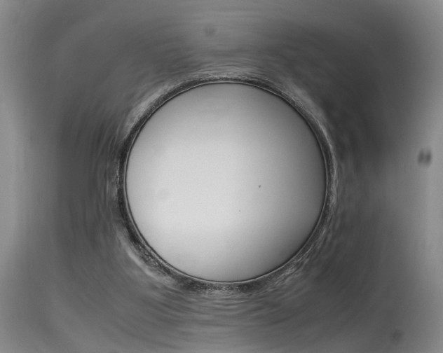 X0000115540107200911061159