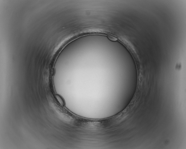 X0000115540108200911061159