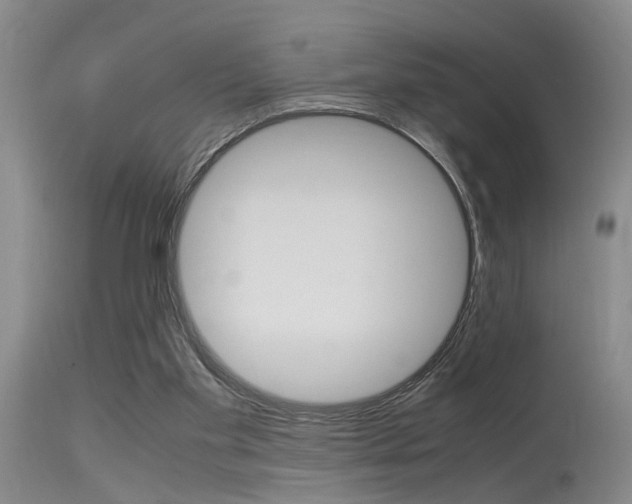 X0000115540109200911061159