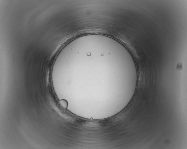 X0000115540110200911061159