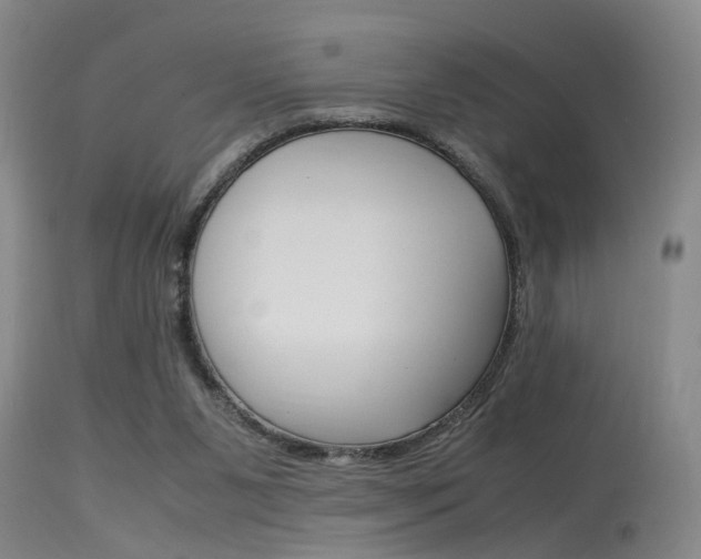 X0000115540111200911061159