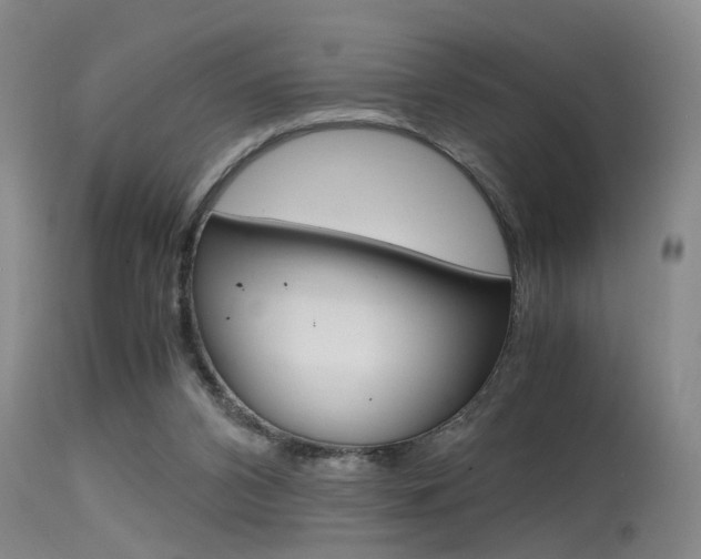 X0000115540112200911061159