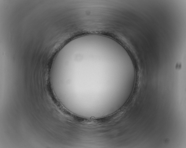 X0000115540113200911061159