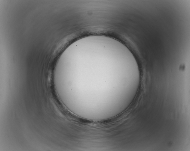 X0000115540115200911061159