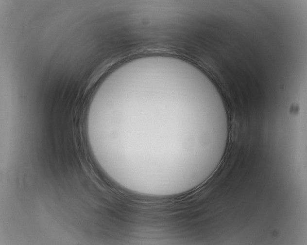 X0000115540116200911061159