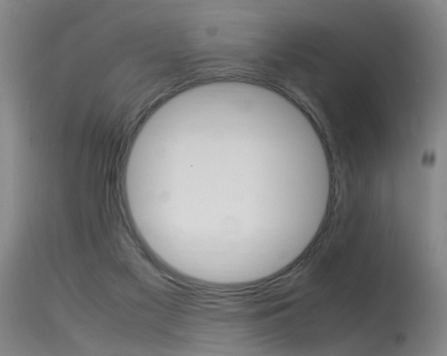 X0000115540117200911061159