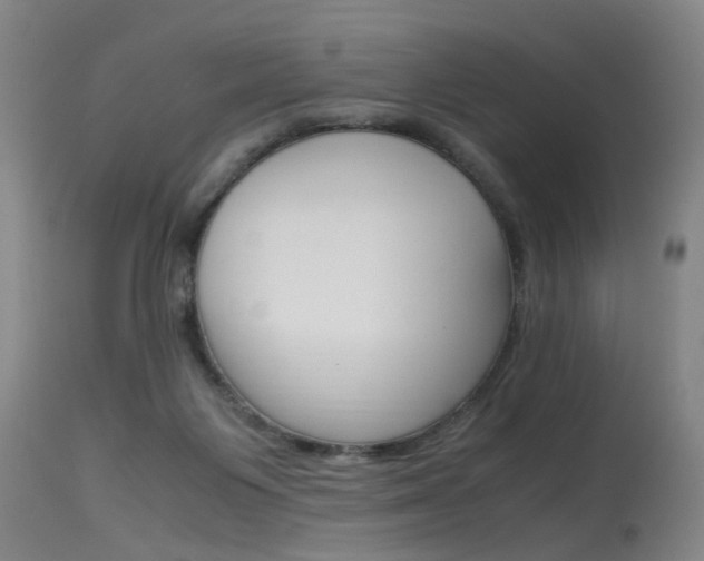 X0000115540119200911061159