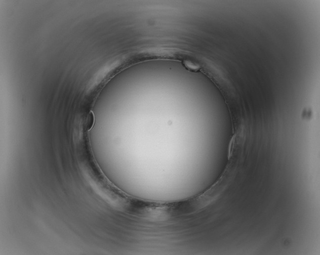 X0000115540120200911061159