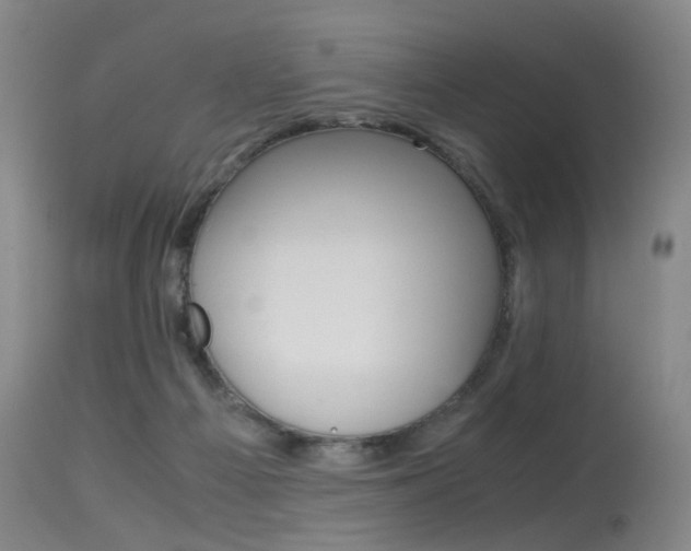 X0000115540121200911061159