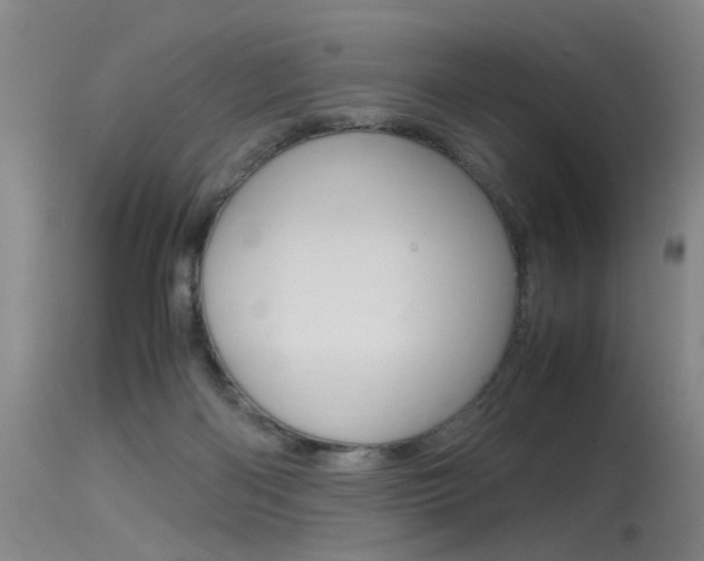 X0000115540122200911061159