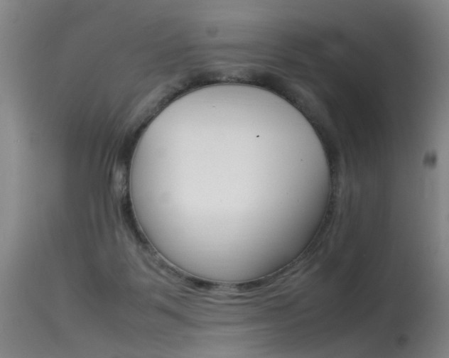 X0000115540123200911061159