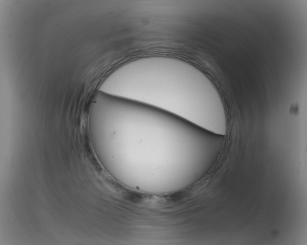 X0000115540125200911061159