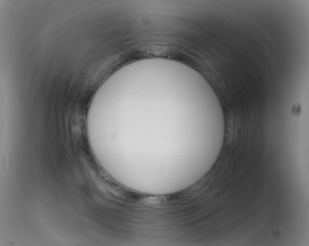 X0000115540126200911061159