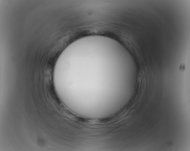 X0000115540127200911061159