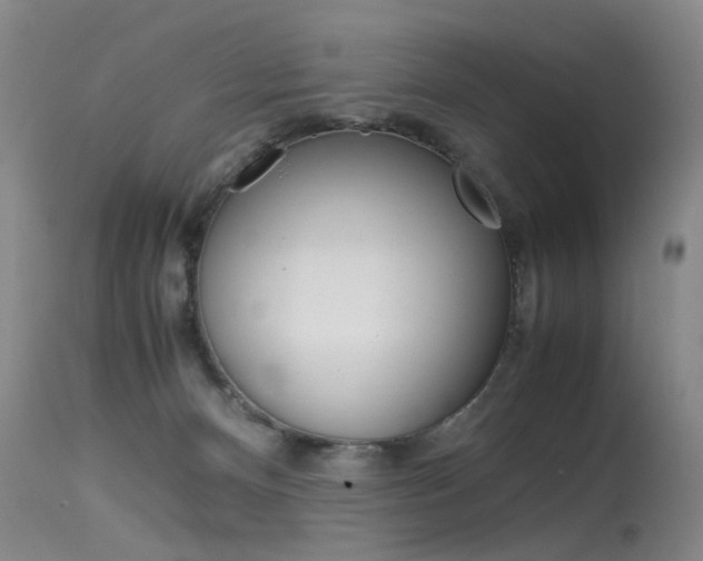 X0000115540128200911061159