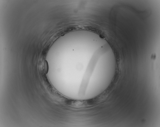 X0000115540129200911061159