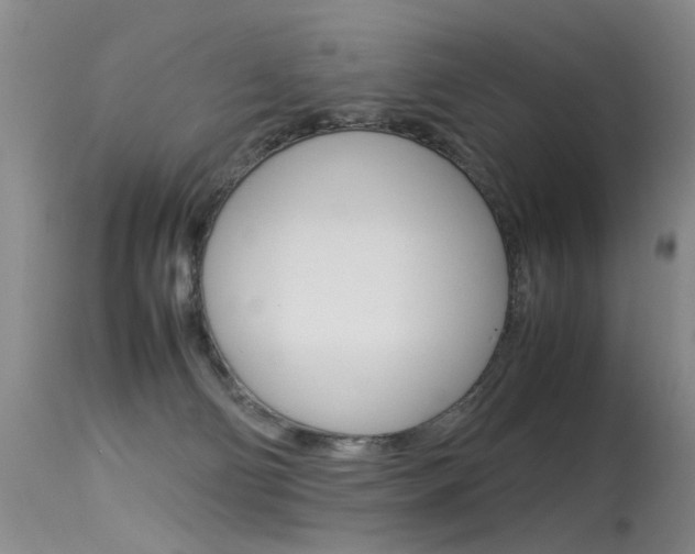 X0000115540130200911061159