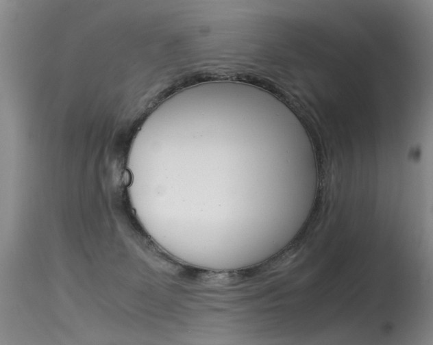 X0000115540131200911061159