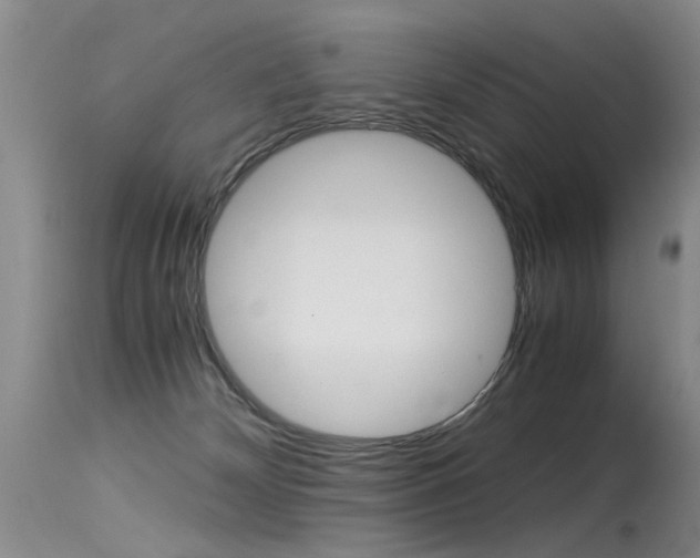 X0000115540132200911061159