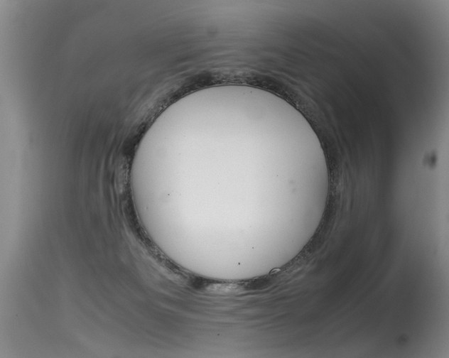 X0000115540133200911061159