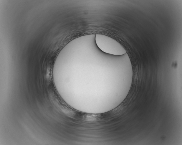 X0000115540134200911061159