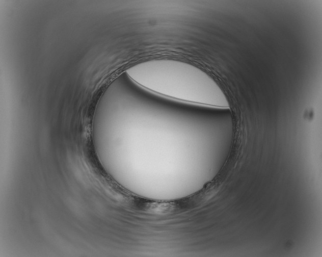 X0000115540135200911061158