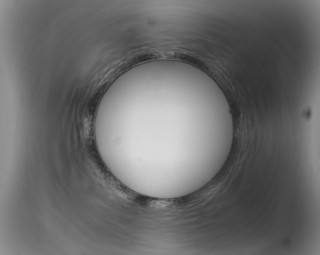 X0000115540139200911061158