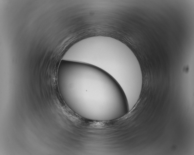 X0000115540140200911061158