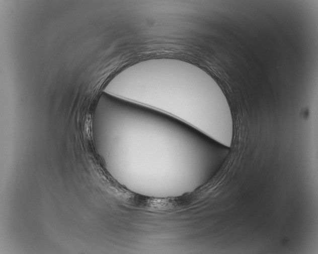 X0000115540141200911061158