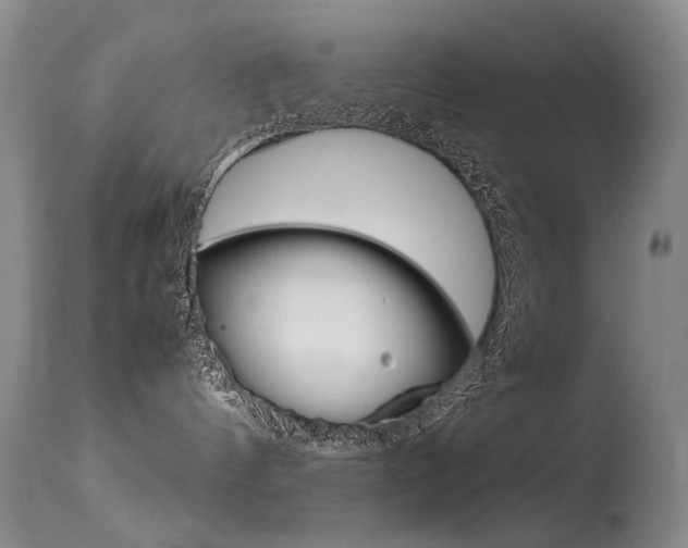 X0000115540144200911061158