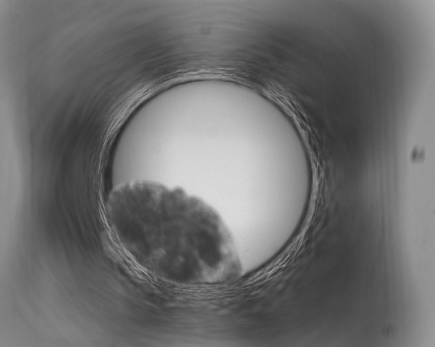 X0000115540145200911061158