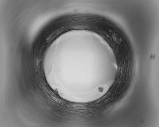 X0000115540146200911061158