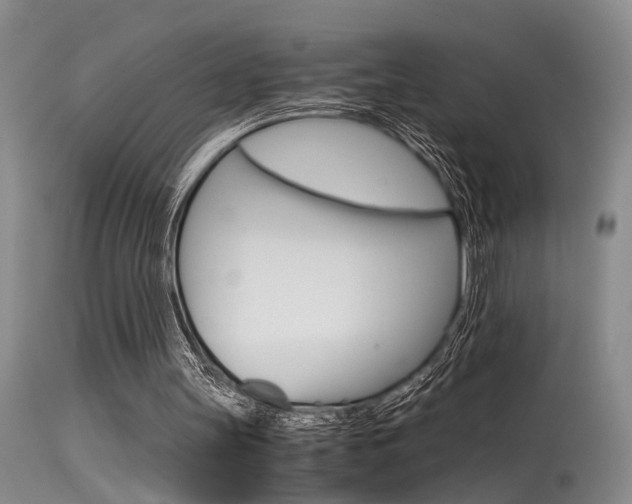 X0000115540147200911061158