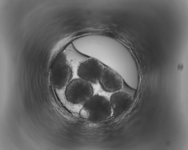 X0000115540149200911061158