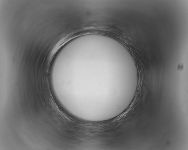 X0000115540150200911061158