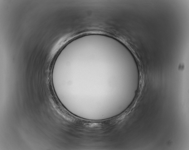 X0000115540151200911061158