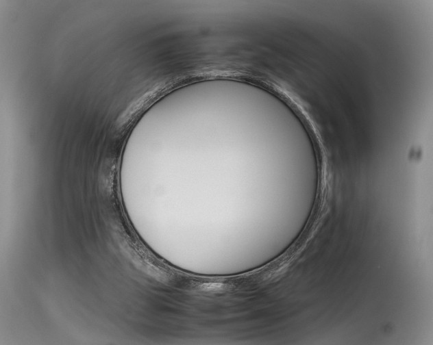 X0000115540153200911061158