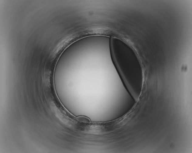 X0000115540154200911061158