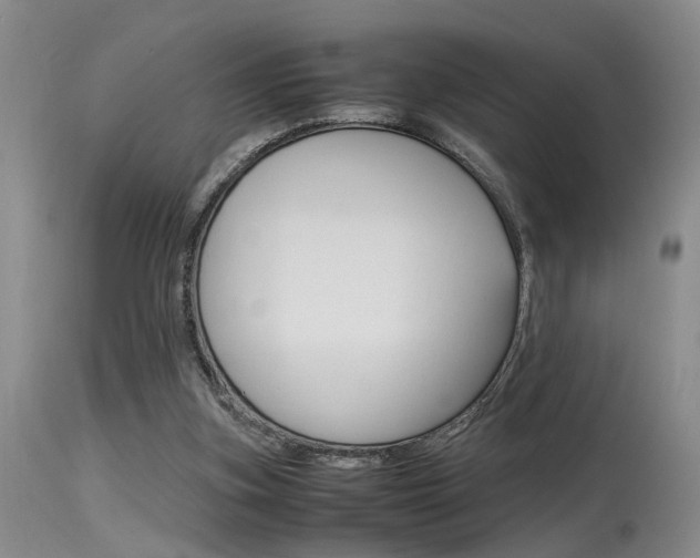 X0000115540155200911061158