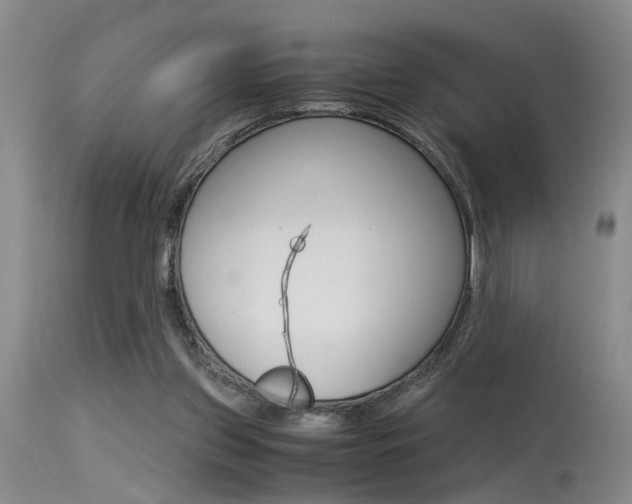 X0000115540157200911061158