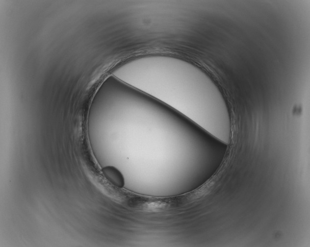 X0000115540158200911061158