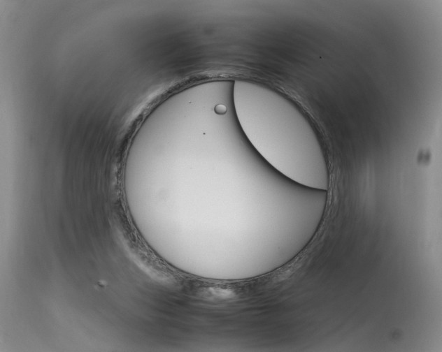 X0000115540159200911061158